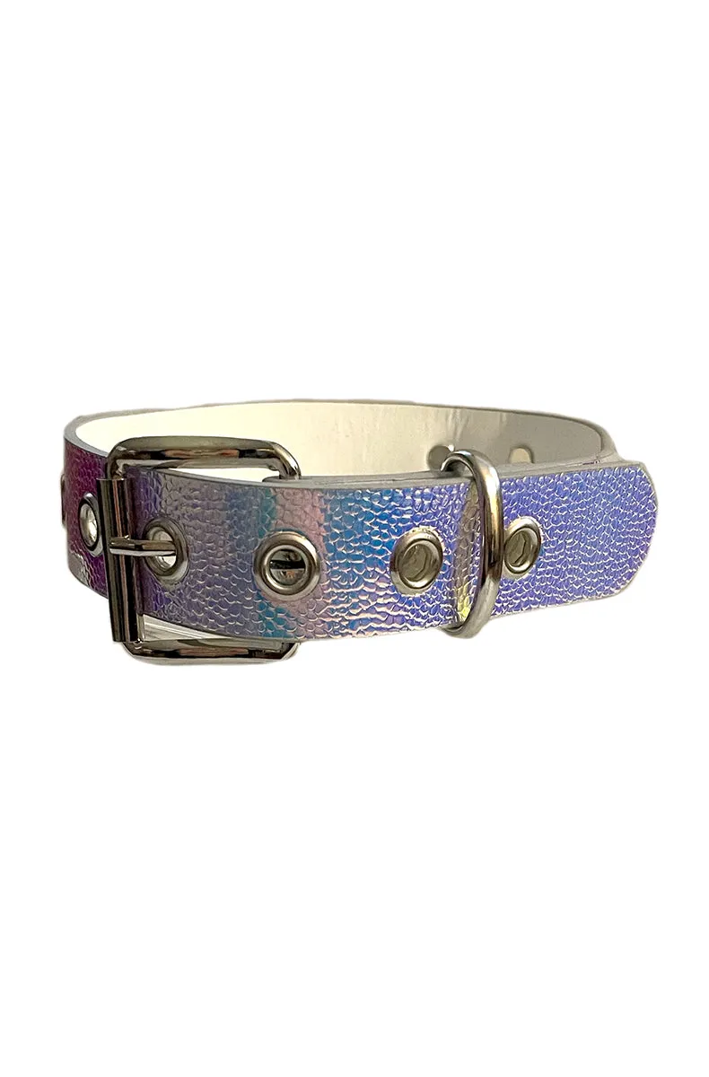Holographic Collar and Leash