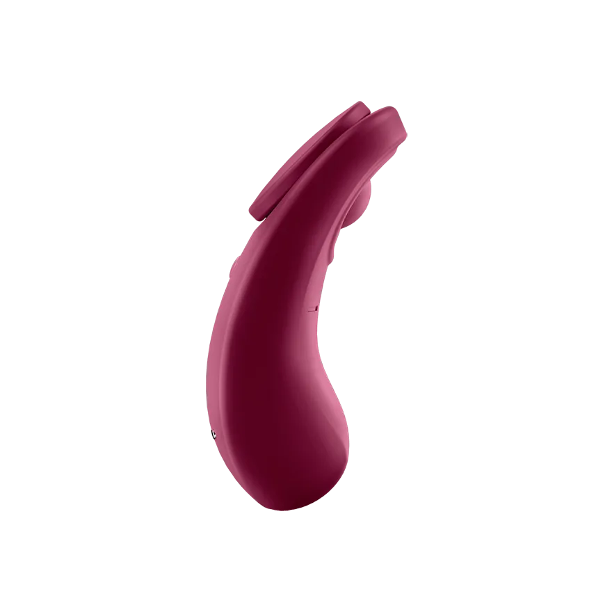 Satisfyer Sexy Secret Panty Vibrator