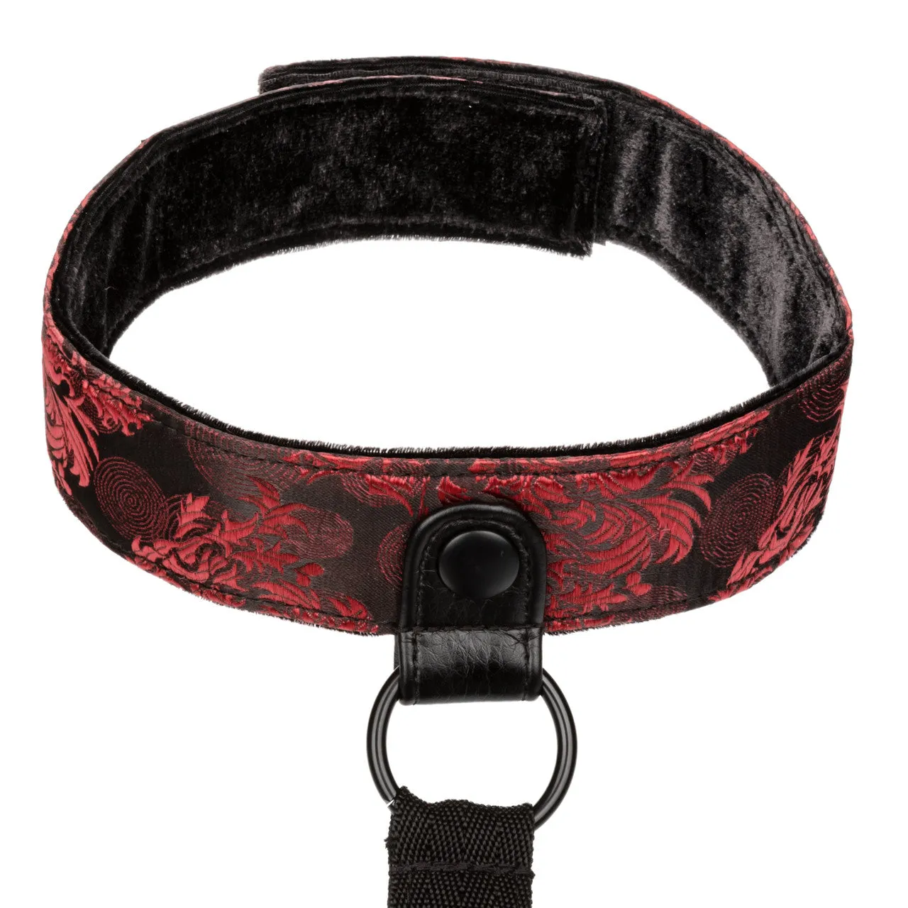 Scandal Collar Body Restraints